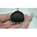 Peeled Solo Black Garlic For Delicious Cooking and Soup(200g/bottle)